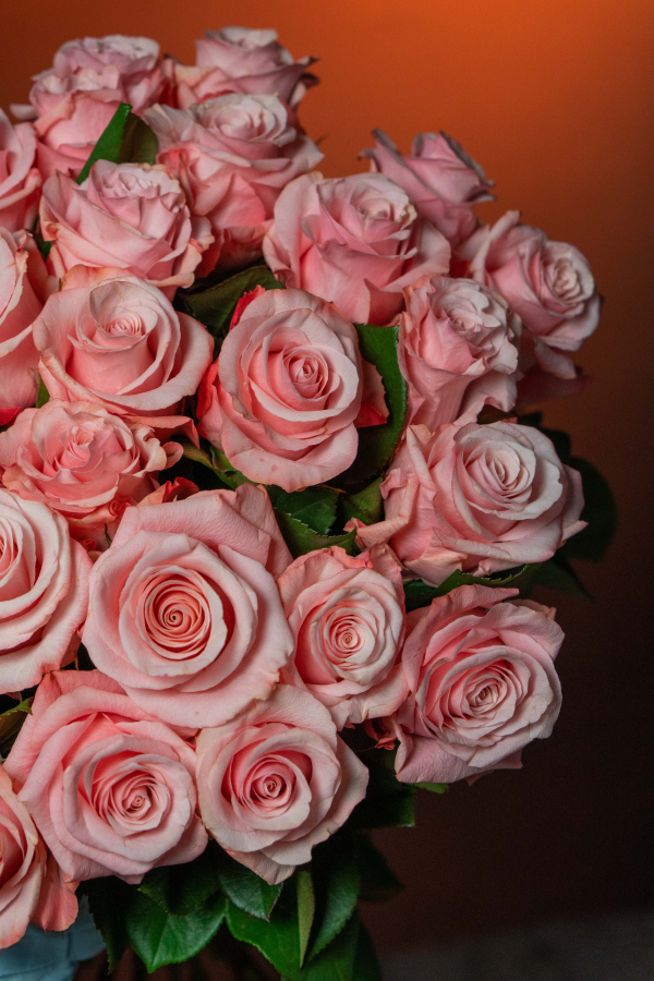 Картинка Роза Би Свит