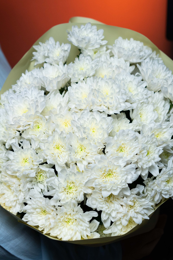 Картинка Букет из 13 хризантем "Нежное облако"