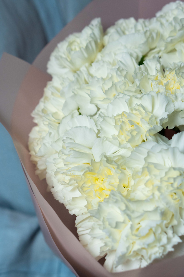 Картинка Букет из 25 гвоздик "Классик"