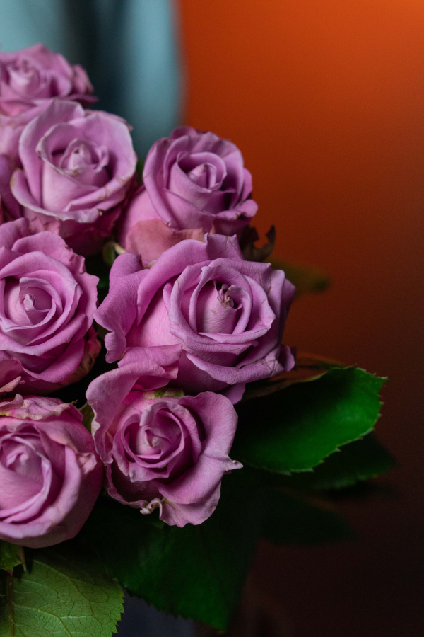 Картинка Букет "Прага" из 23 роз сорта Маритим 80 см