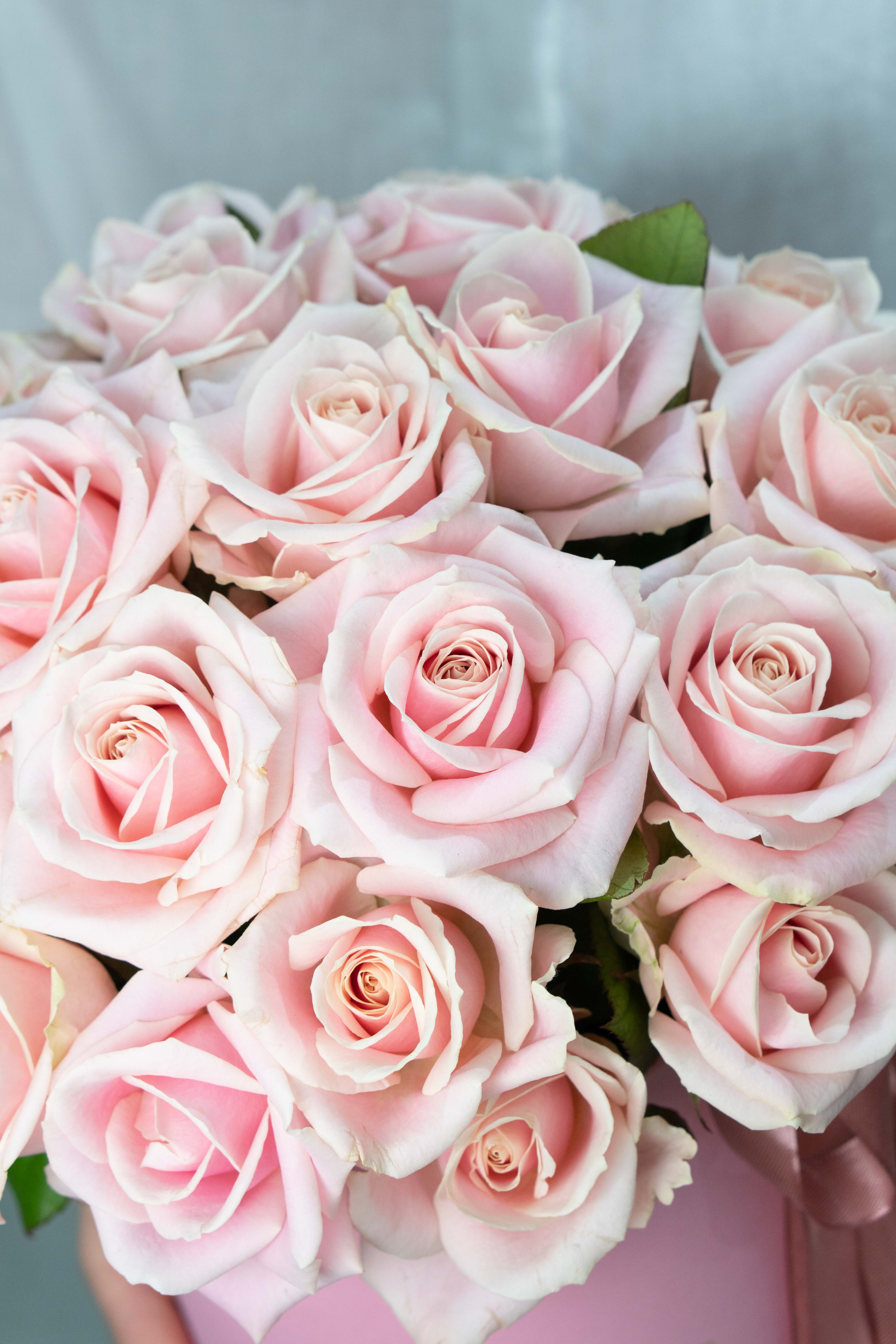 Картинка Коробка " Свит" из 29 роз